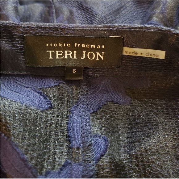 Teri Jon by Rickie Freeman Collared Organza Cocktail Dress Size 6 - Picture 6 of 13